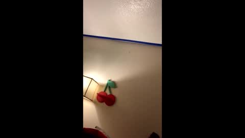 Snapshot of xtika chatting on January 2025 08:18:02 AM xtika online show from January 2025 08:18:02 AM