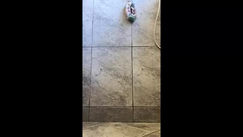 xviktorbr online show from March 2026 04:56:01 PM