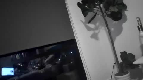 Snapshot of xxdude91 chatting on December 2024 01:59:02 AM xxdude91 online show from December 2024 01:59:02 AM