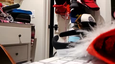 Snapshot of xxdude91 chatting on January 2025 08:45:01 AM xxdude91 online show from January 2025 08:45:01 AM