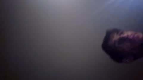 Snapshot of xxdude91 chatting on January 2025 04:21:01 AM xxdude91 online show from January 2025 04:21:01 AM