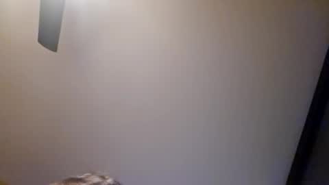 Snapshot of xxdude91 chatting on January 2025 12:35:02 AM xxdude91 online show from January 2025 12:35:02 AM