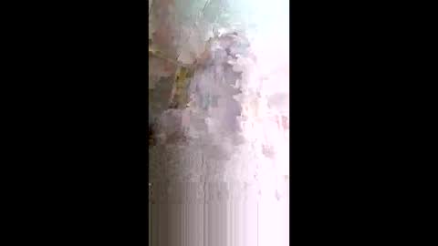 xxjessiebugxx online show from May 2026 02:29:01 AM