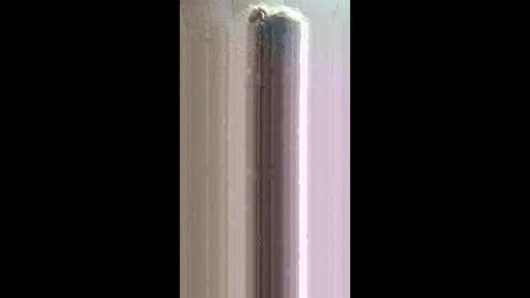 xxjessiebugxx online show from May 2026 02:40:01 AM