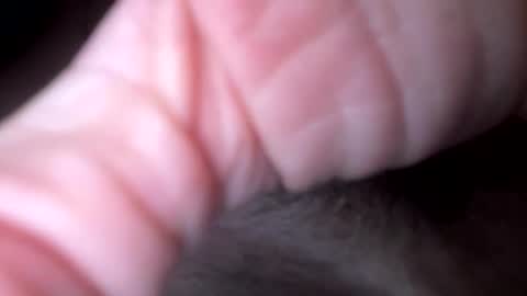 xxx5679333567 online show from February 2026 12:04:01 AM