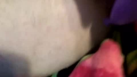 XxXCoupleOrgasmicXxX online show from April 2026 07:00:01 PM