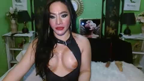 PAMPAM online show from April 2026 08:46:01 AM