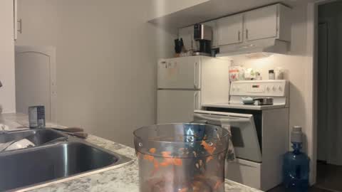 Xylea Luv online show from February 2025 04:29:01 AM