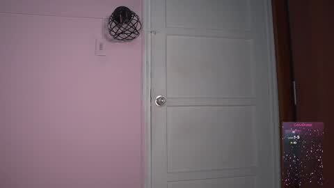 Snapshot of yahaira_26 chatting on January 2025 10:26:01 PM petronila online show from January 2025 10:26:01 PM