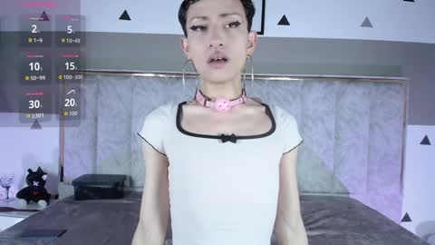YANG online show from June 2026 12:16:02 PM