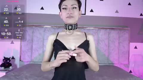 YANG online show from June 2026 11:47:02 AM