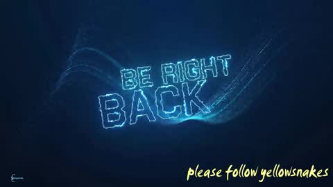 .     y e l l o w s n a k e s       . online show from October 2025 07:18:02 AM