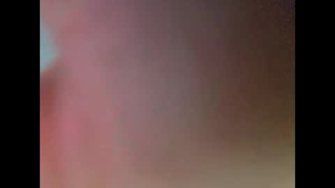 yorks1er online show from November 2025 11:44:02 AM