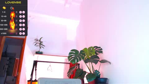 Snapshot of yosoy_enzo2020 chatting on January 2025 03:09:02 AM Enzo online show from January 2025 03:09:02 AM