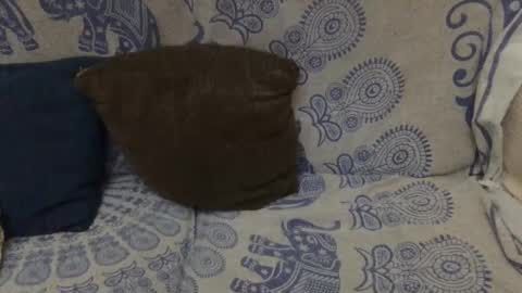 AlexBlack online show from January 2026 11:54:02 PM