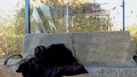 Snapshot of you_love_melisa chatting on October 2025 09:11:01 AM private on 18 per minute start private 500 tokensOnlyfans online show from October 2025 09:11:01 AM