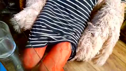 Taylor Tash online show from December 2025 04:39:01 AM