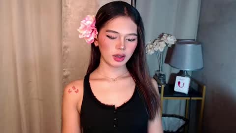 Sunshine online show from November 2025 10:48:02 AM