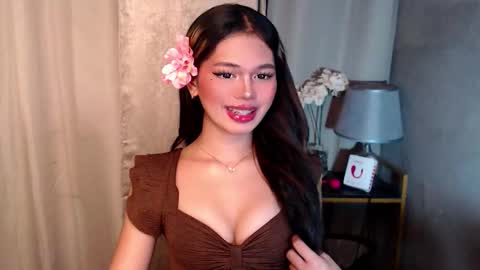 Sunshine online show from November 2025 08:37:02 AM