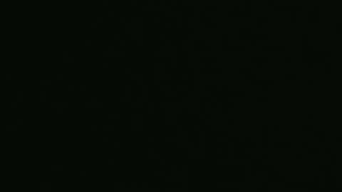 Snapshot of yourpersonalgeniusl chatting on December 2024 10:26:02 PM yourpersonalgeniusl online show from December 2024 10:26:02 PM