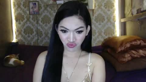 tin online show from February 2025 12:19:01 AM