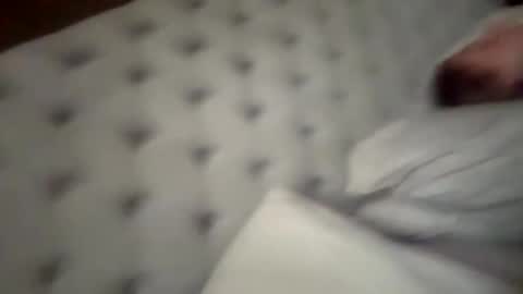 You want us 69 online show from September 2025 05:50:01 AM