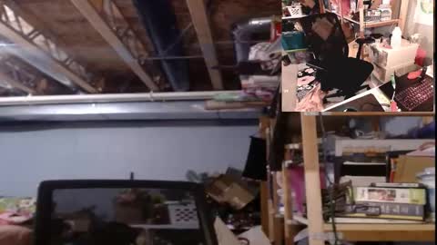 daddy online show from October 2025 11:55:02 AM