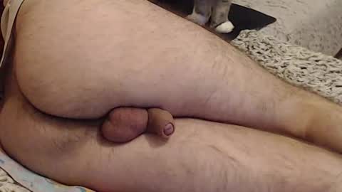 Yowlo online show from September 2025 03:30:02 AM