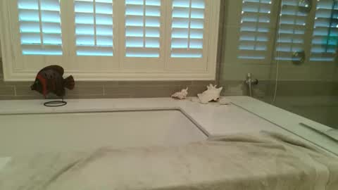 Snapshot of yttims chatting on February 2026 03:43:01 PM yttims online show from February 2026 03:43:01 PM