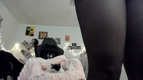 Snapshot of yury_sun chatting on January 2025 09:45:01 PM paola online show from January 2025 09:45:01 PM