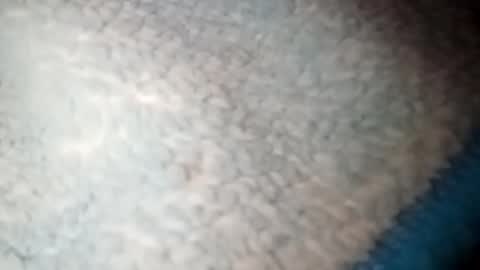 yuyu33333284475 online show from January 2025 03:52:01 AM