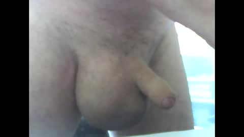 yyyyy_2023 online show from March 2025 11:27:01 AM