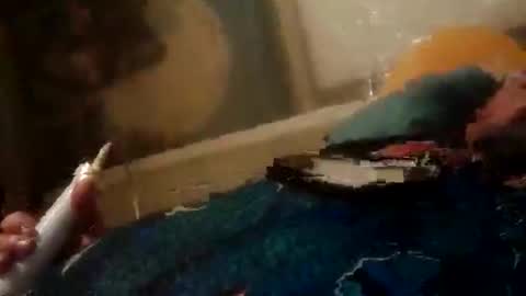 Z0RL0C online show from June 2026 06:37:02 AM