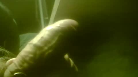 zaboski4 online show from December 2025 08:52:01 AM