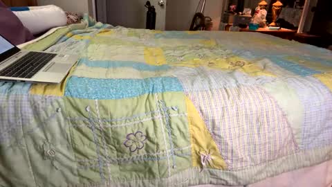 Snapshot of zaddykendoll chatting on January 2025 03:20:02 AM Aiden online show from January 2025 03:20:02 AM