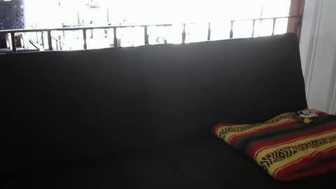 Snapshot of zaddykendoll chatting on September 2025 02:17:02 PM Aiden online show from September 2025 02:17:02 PM