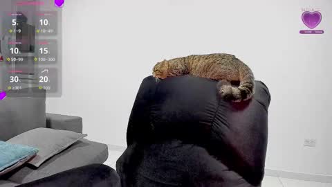 Snapshot of zafiralov chatting on December 2025 02:20:01 AM zafiralov online show from December 2025 02:20:01 AM