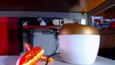 Snapshot of zafiro_subversiva chatting on March 2026 09:30:01 PM zafiro_subversiva online show from March 2026 09:30:01 PM