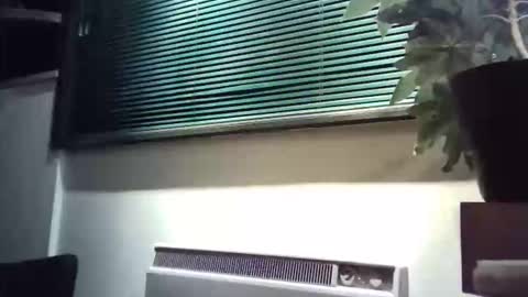 zalina2 online show from March 2026 06:06:01 AM