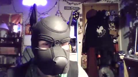 ZanePup online show from July 2026 05:26:02 AM