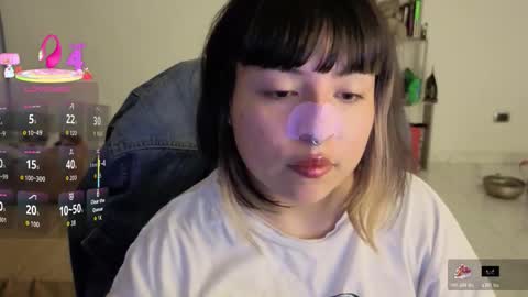 Zara muley online show from February 2026 05:50:01 AM