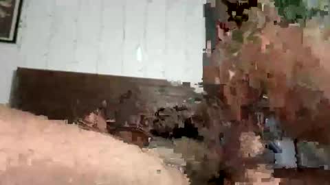 Snapshot of zayd3n69 chatting on October 2025 07:07:02 AM zayden online show from October 2025 07:07:02 AM