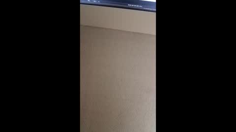zchasebluesky22 online show from May 2026 08:31:02 AM