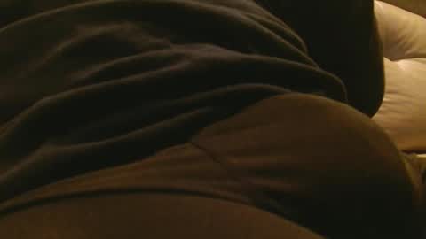 zephyr392 online show from November 2025 03:38:01 AM