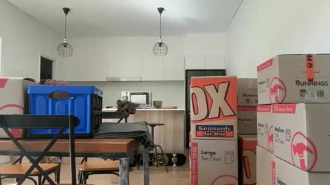 Snapshot of zeroventure chatting on March 2026 03:52:01 AM zeroventure online show from March 2026 03:52:01 AM