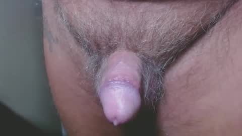 Snapshot of zerozero5555 chatting on December 2024 11:47:01 PM bambi cumslut online show from December 2024 11:47:01 PM