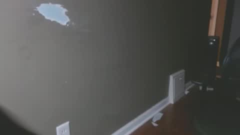 Snapshot of zerozero5555 chatting on February 2025 12:05:01 AM bambi cumslut online show from February 2025 12:05:01 AM