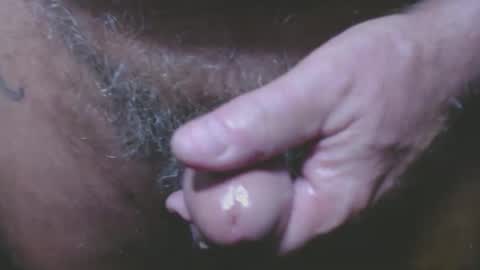 Snapshot of zerozero5555 chatting on September 2025 03:52:01 AM bambi cumslut online show from September 2025 03:52:01 AM