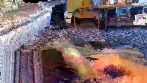 Zerr online show from November 2025 09:00:02 AM