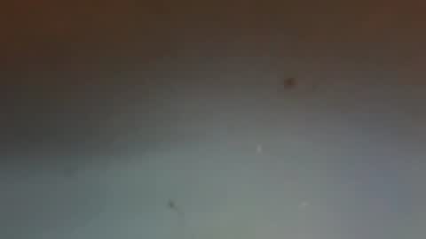 zervale online show from August 2026 10:12:02 PM